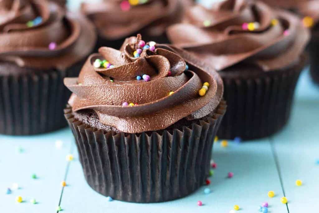vegan chocolate cupcakes with colorful sprinkles