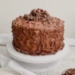 Chocolate Crunch cake on a white cake stand.