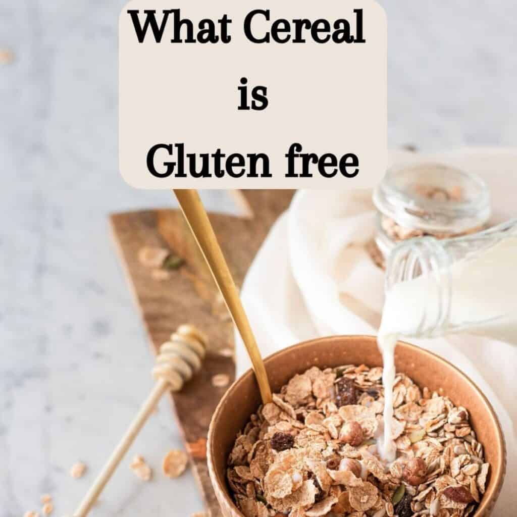 Are Oreos Gluten Free? Everything You Need to Know - Gluten Free ...