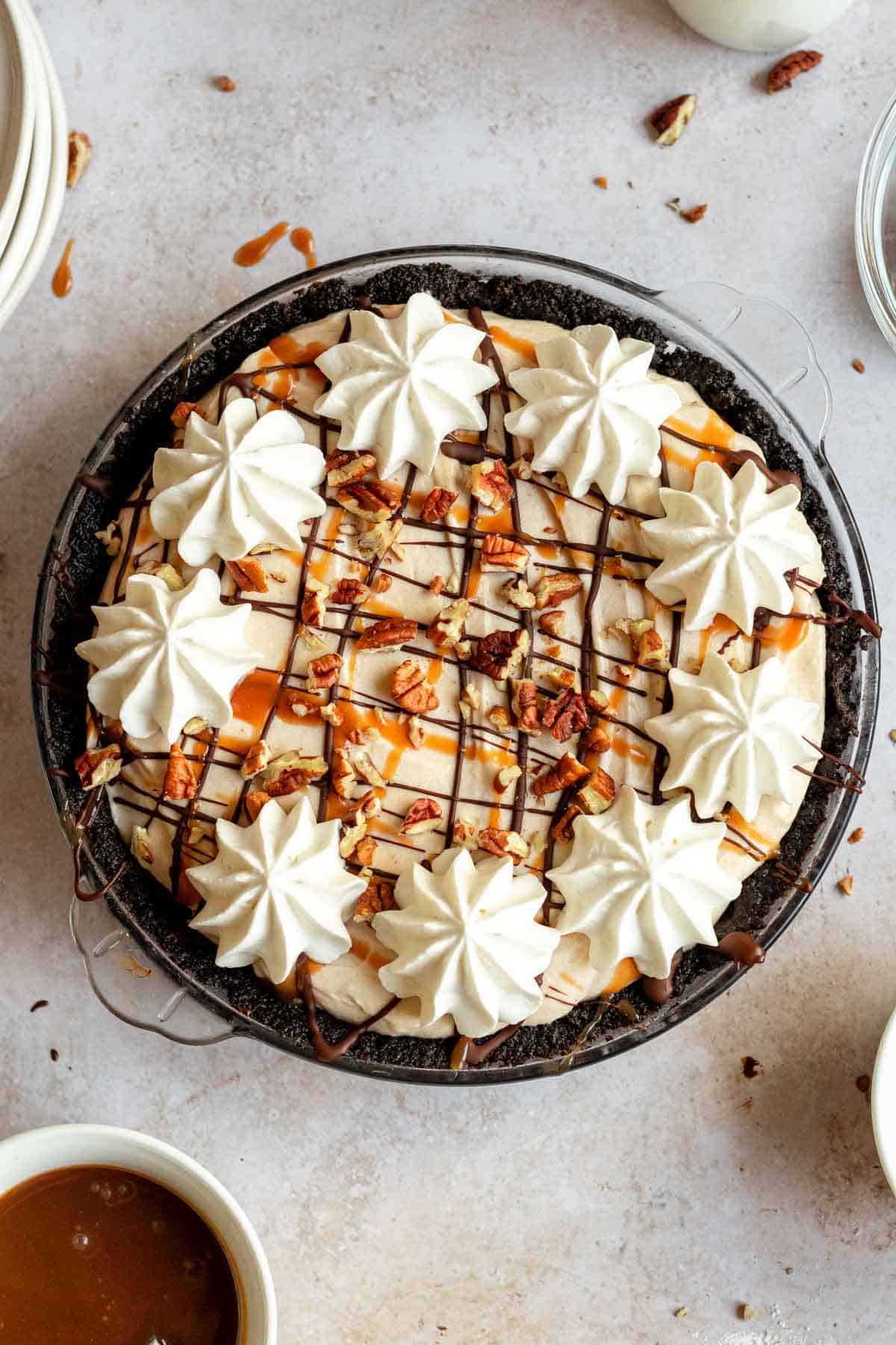 Overhead image of turtle pie on white background.