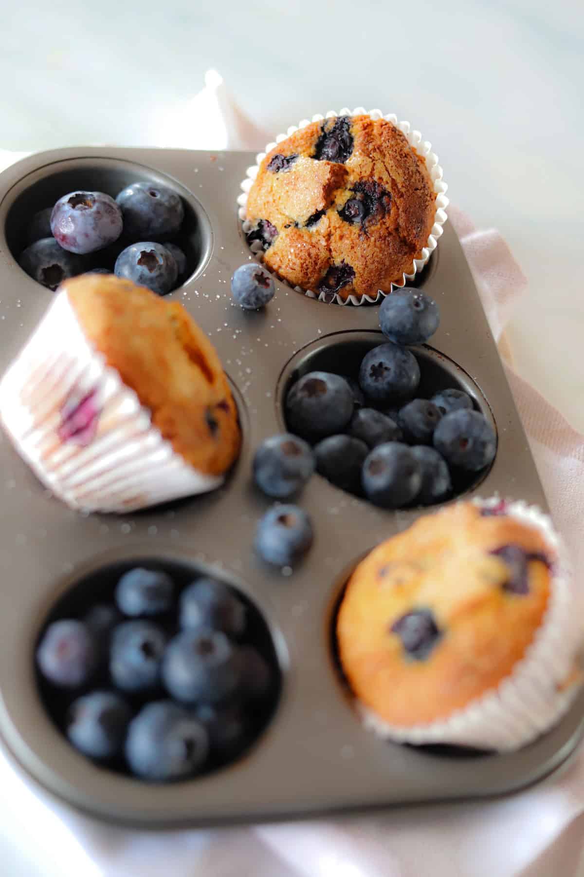 Gluten free blueberry muffins in a muffin pan with fresh blueberries.