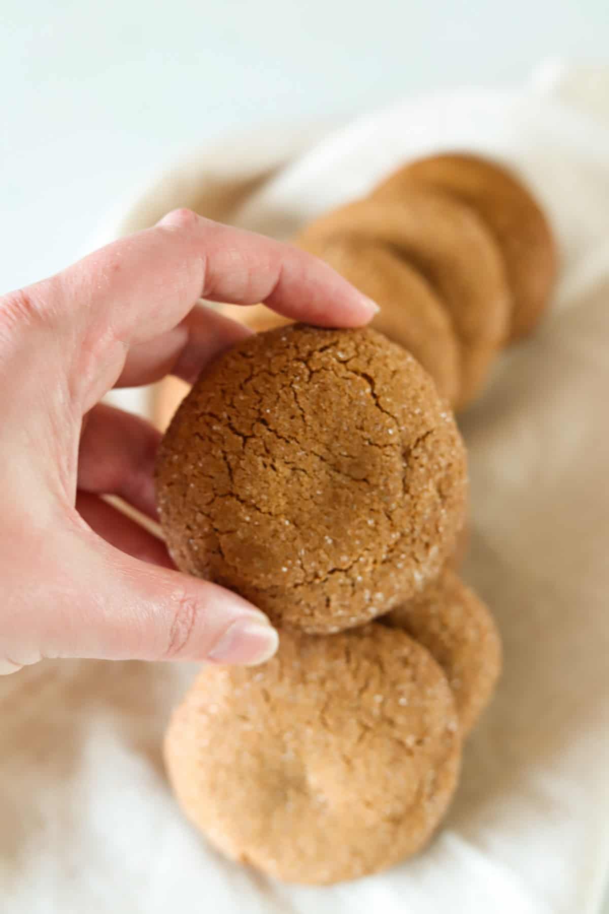 A hand holding a gluten free gingersnap cookie.
